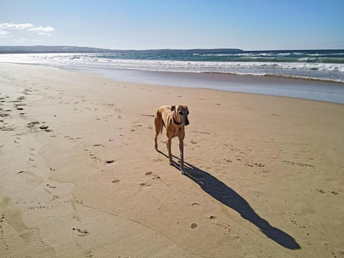 Beachcomber - Pet Friendly Merimbula Exterior photo